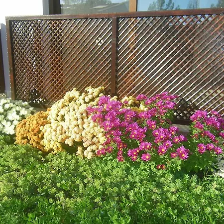 Calm Life Cottages Сasa de vacaciones Uzumlu (Mediterranean)