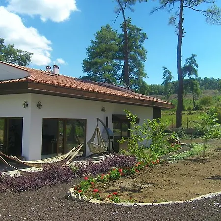 Calm Life Cottages *