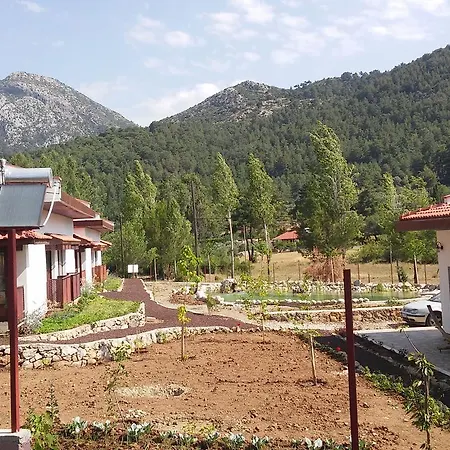 Calm Life Cottages Сasa de vacaciones