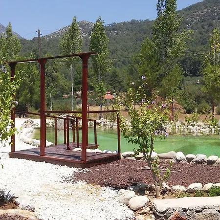 Calm Life Cottages * Uzumlu (Mediterranean)
